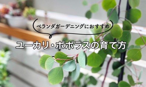 脂肪的吸收的过程包括-权威脂肪如何吸收平台,分享专业脂肪的吸收主要是在什么和什么知识_脂肪的吸收的过程网